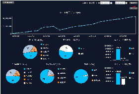 MyTradeReport2011